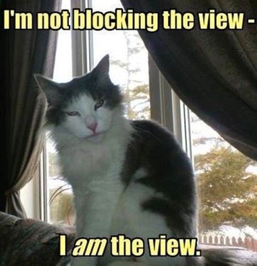 Soft Kitty Warm Kitty Little..start from the top!