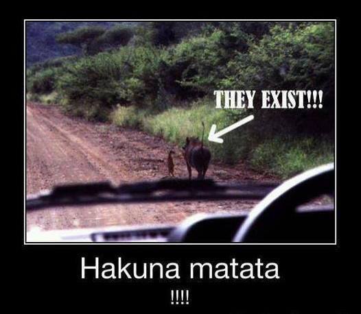 It means no worries!