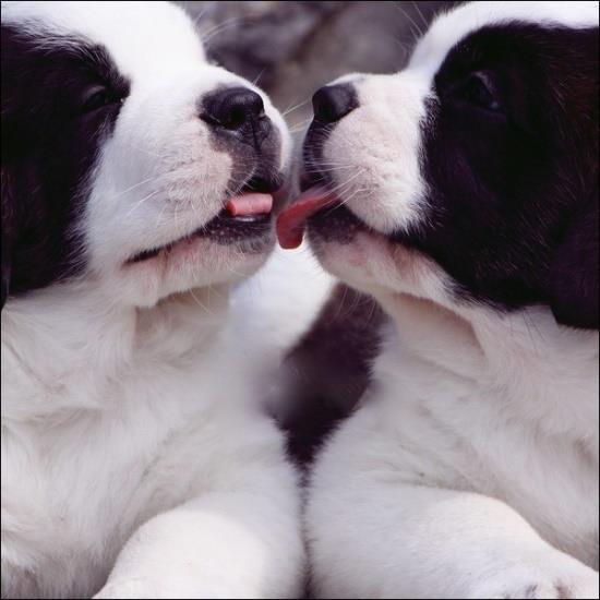 First kiss!