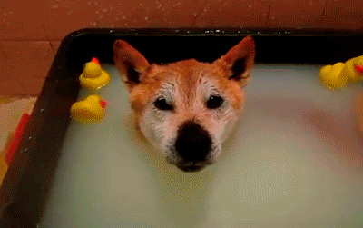 Bath Time is Happy Time!!!!