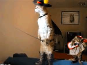 Puss In Boots *is* real