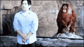 Monkey See, Monkey Do