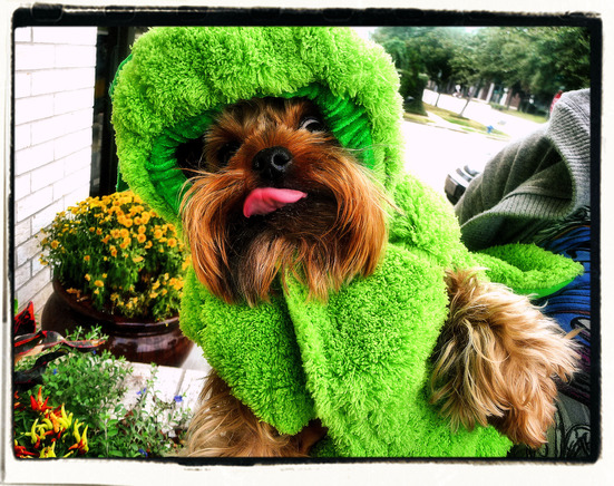 Go Green!