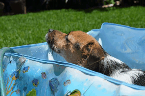 Pool Time!